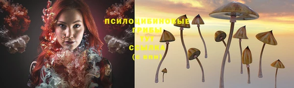 МДПВ Абинск