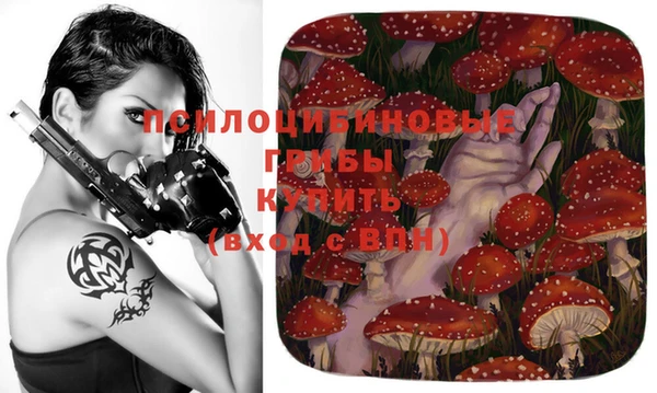 МДПВ Абинск