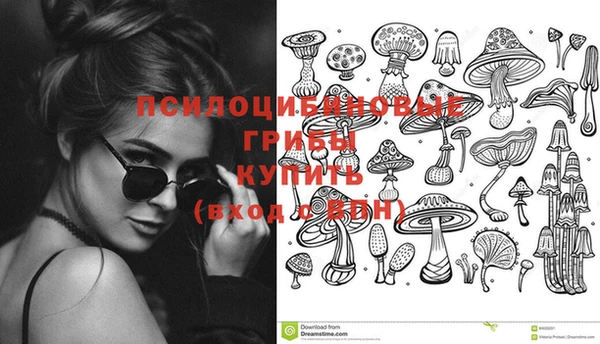 хмурый Приозерск